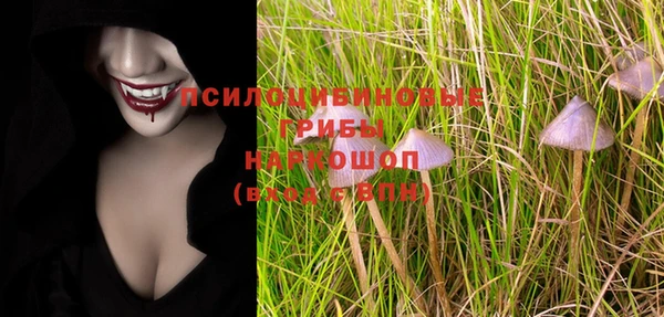 эйфоретик Янаул