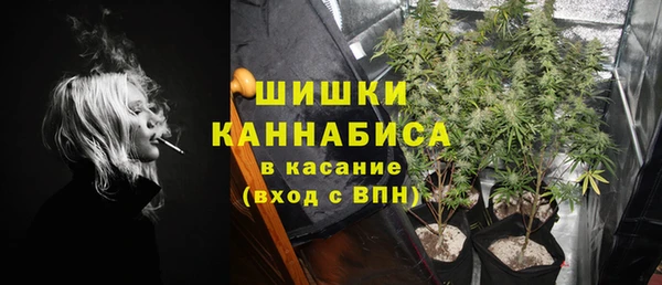 эйфоретик Янаул