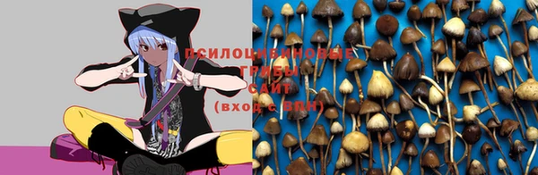 альфа пвп Заволжск