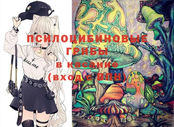 альфа пвп Заволжск