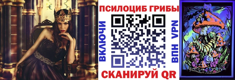 Галлюциногенные грибы Cubensis  даркнет сайт  Сковородино 